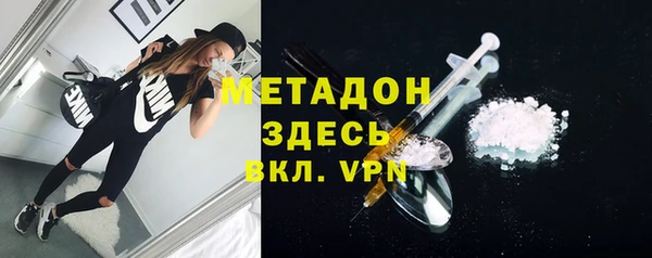 прущие грибы Кулебаки