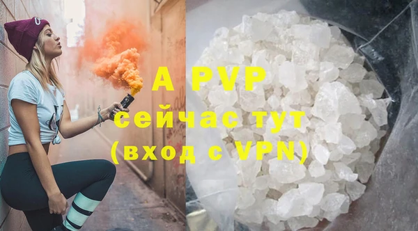 прущие грибы Кулебаки