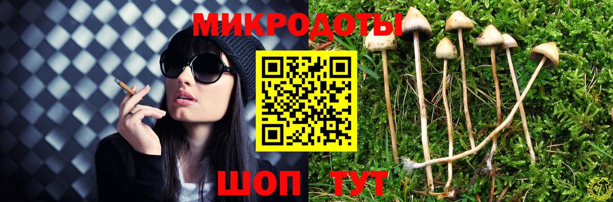 Псилоцибиновые грибы прущие грибы  Вход с VPN  Углич  Псилоцибиновые грибы прущие грибы 
