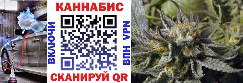 где найти   Углич  Конопля Bruce Banner 